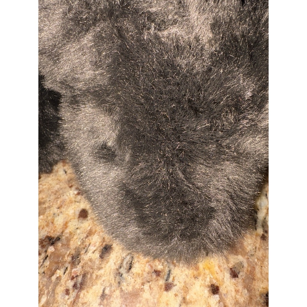 Pottery Barn Very Soft Floppy Dark Brown Expresso Bear Plush Lovey 13x17" - Picture 4 of 4